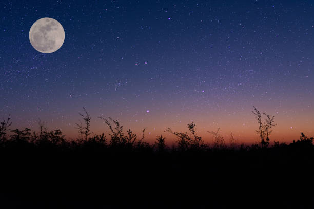 ay ile bir alan üzerinde gece gökyüzü - ay gökyüzü stok fotoğraflar ve resimler