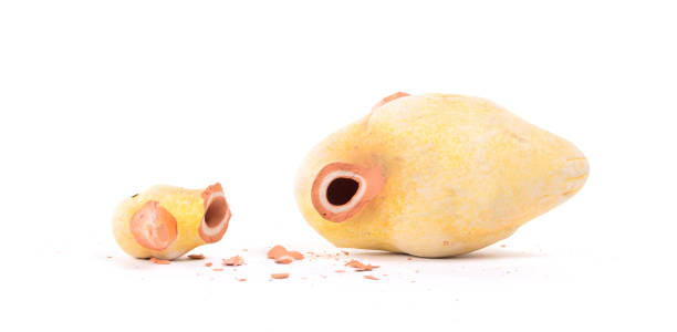 istock Broken statue of a duckling 1144307194