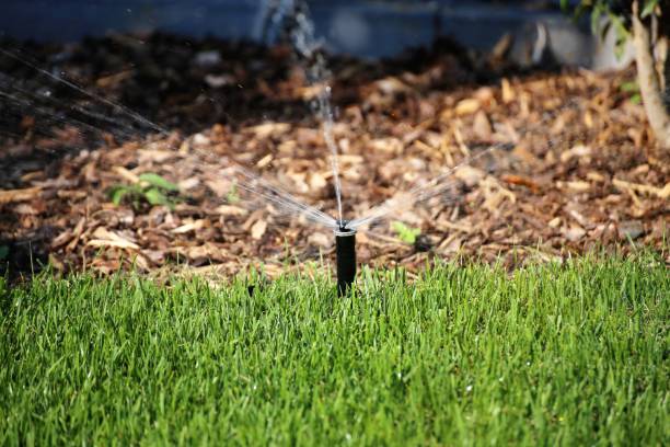 istock Garden irrigation with well-cared lawn 1144308244