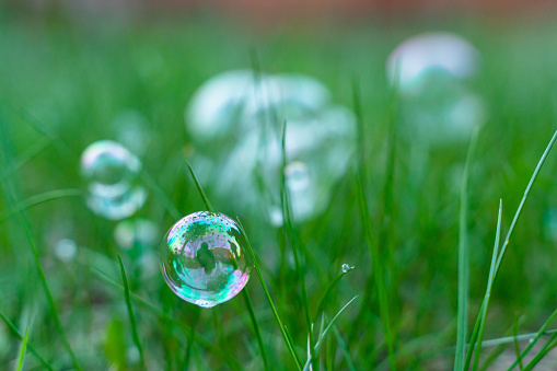 soap bubbles on green spring grass with beautiful blurred background. natural summer and spring background