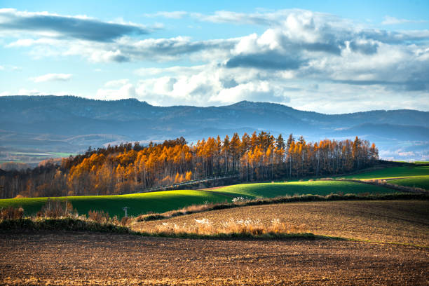 istock Autumn hilly areas and mountain range 1144310293