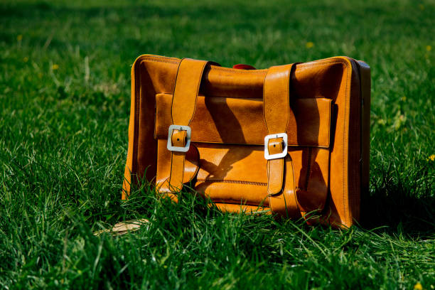 istock Vintage suitcase for travel on green spring meadow. 1144311662