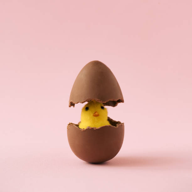 istock Chick hatched out of chocolate Easter egg on pastel pink background. 1144313308