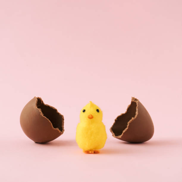 istock Chick hatched out of chocolate Easter egg on pastel pink background. 1144313511
