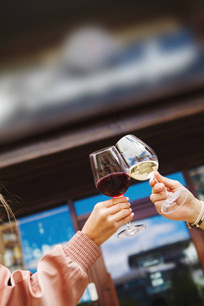 istock Two people clinking glasses with red and white wine 1144313750