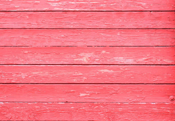 istock Texture of a pink old tree. Background for cards. 1144313959