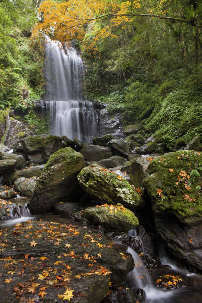 istock New Taipei, Yunsen Waterfall 1144316081