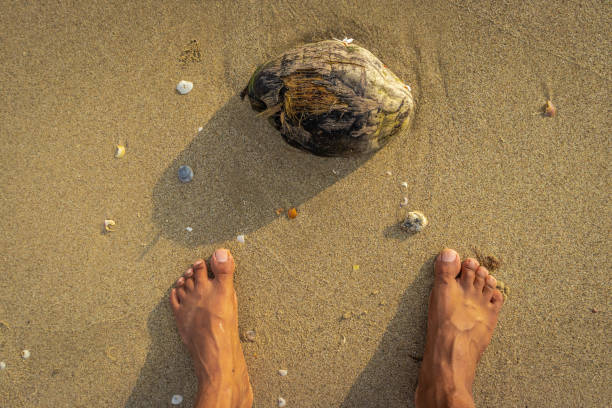istock Human food and nature 1144317896