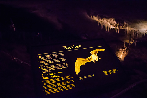 Carlsbad Cavern National Park, NM, USA - April 22, 2018: The entrance signage of the cavern park