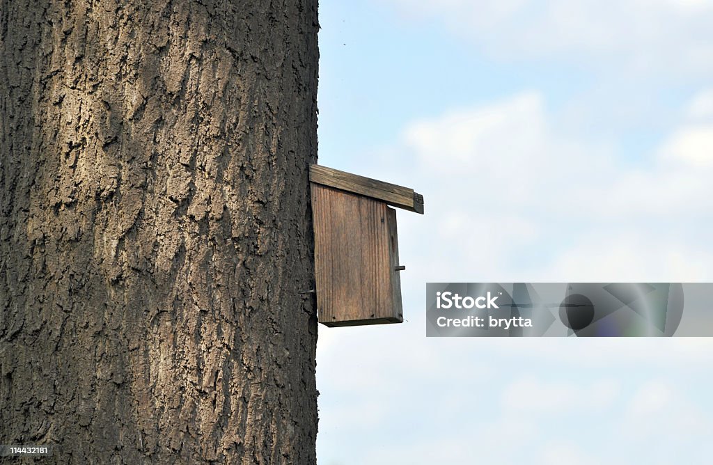 Cabane à oiseaux - Photo de Abri de plage libre de droits