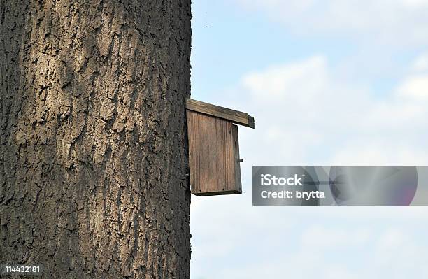 Photo libre de droit de Cabane À Oiseaux banque d'images et plus d'images libres de droit de Abri de plage - Abri de plage, Arbre, Boîte