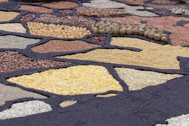Nuts, legumes, corn mill and grains artistically laid out. Fresh produce.