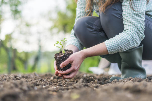 Environmental conservation. Care about what surrounds you.