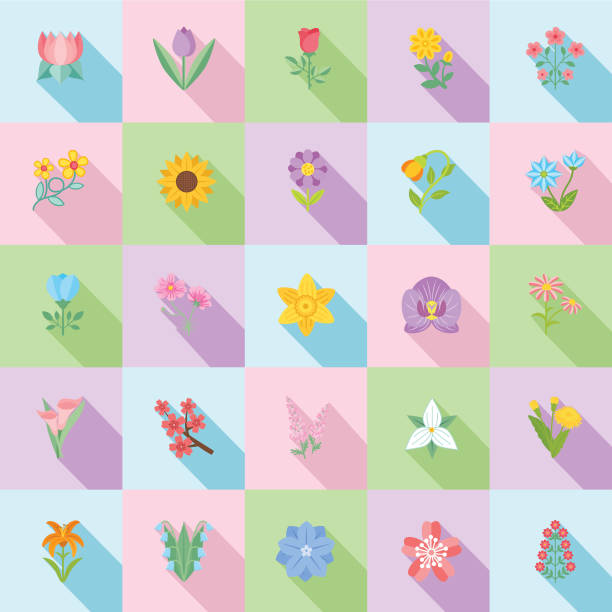 ilustraciones, imágenes clip art, dibujos animados e iconos de stock de icono de flor linda en diseño plano-girasol - daffodil stem yellow spring