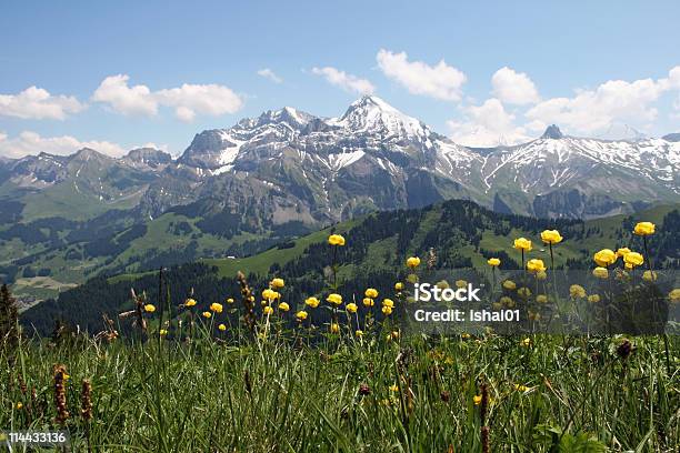 スイス山トップの眺め - アーデルボーデンのストックフォトや画像を多数ご用意 - アーデルボーデン, カラー画像, スイス