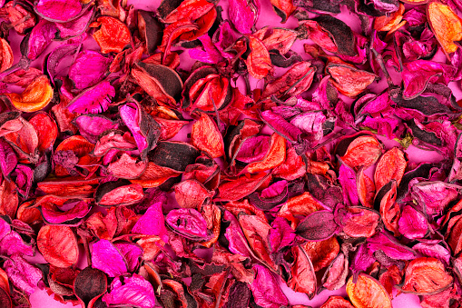 Dry Red Rose Petals background.