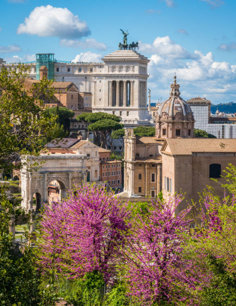 le forum romain pendant la saison de printemps dans une journée ensoleillée. rome, italie. - light nobody coliseum vertical photos et images de collection