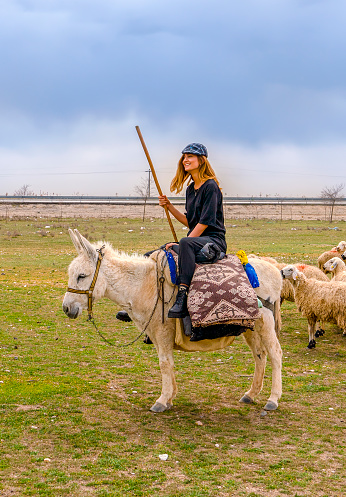 Konya, Turkey-April 14 2019: Shepherdesses with hat riding white donkey in front of sheep herd on grass