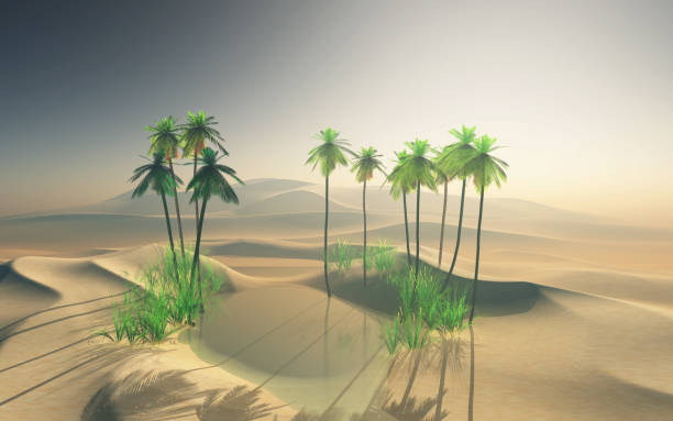 istock 3D desert oasis landscape with palm trees 1144335309