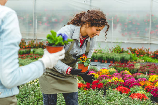 istock Florists working in flower field 1144336566