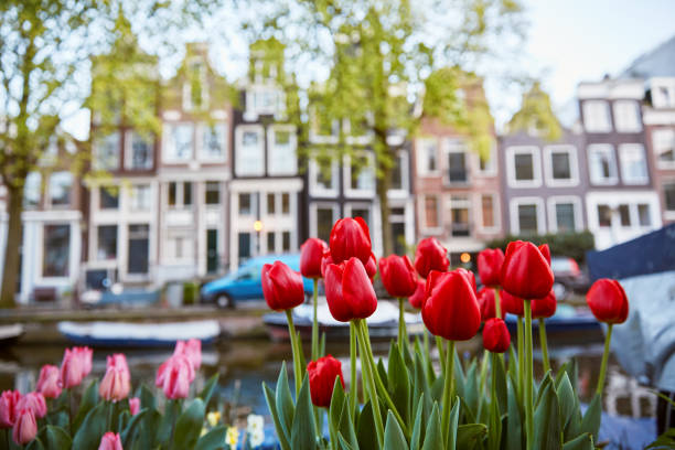 амстердам типичные танцевальные дома - idyllic park formal garden nobody стоковые фото и изображения