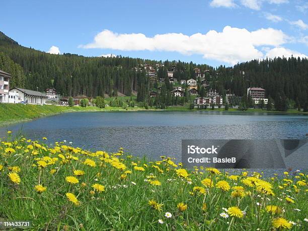 Arosa Switzerland Stock Photo - Download Image Now - Arosa, Tourist Resort, Blue