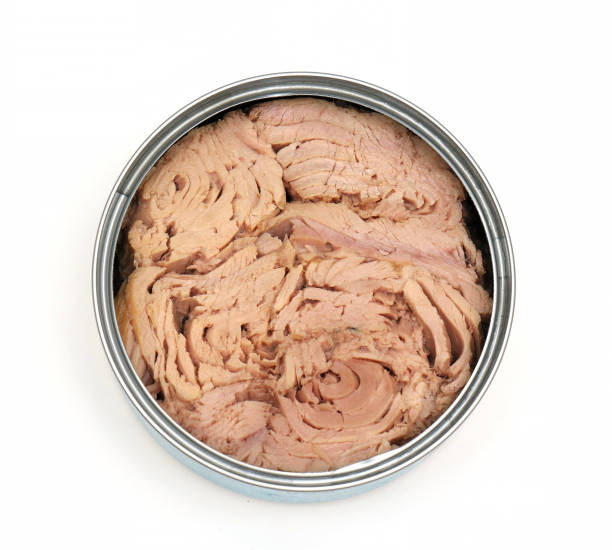Open can of tuna stock photo