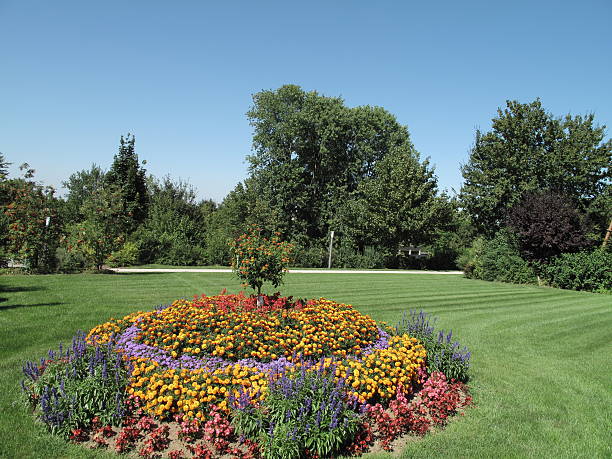 Flowers and trees in the spring garden