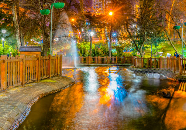 Reflection in the pond in Kugulu Park, Ankara, Turkey.