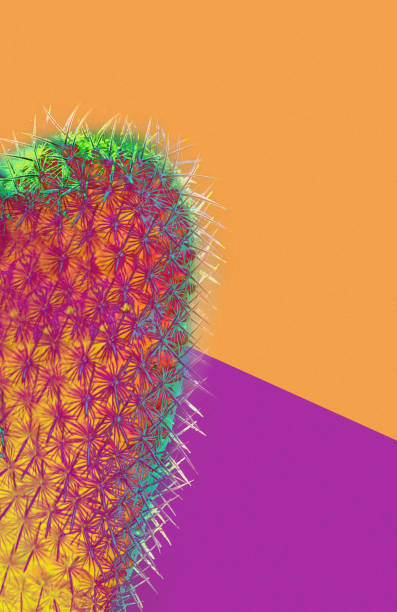 istock cactus figure transformation with bright colors 1144339083