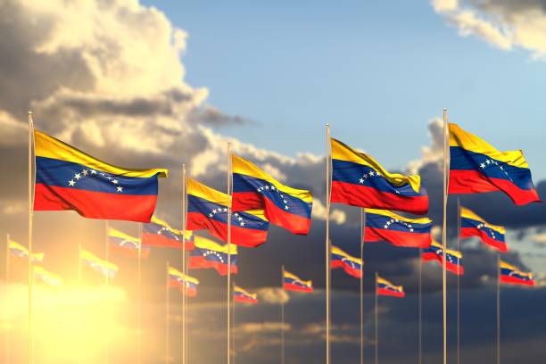 istock pretty many Venezuela flags on sunset placed in row with soft focus and space for content - any occasion flag 3d illustration 1144339114