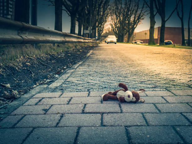 soft toy dog, lie on the road. the concept of child safety on the street, improving safety. - rules of the road imagens e fotografias de stock