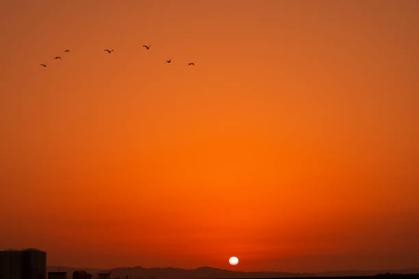 istock Sunset at Toyama harbor 11 1144346492