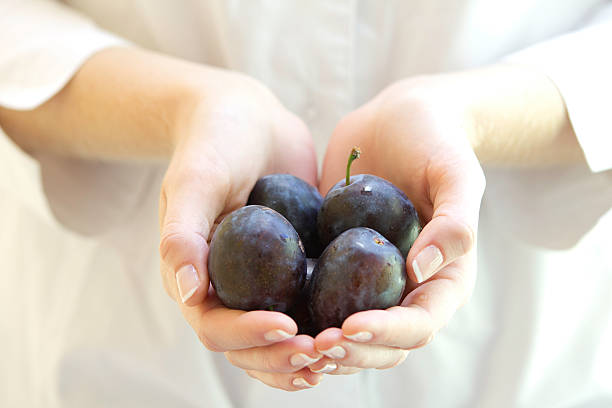 свежие сливы в женской руки. - plum eating women fruit стоковые фото и изображения