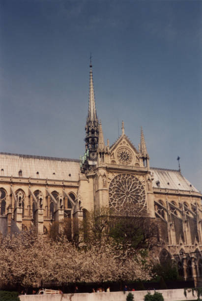 istock Notre Dame cathedral in Paris 1144348307