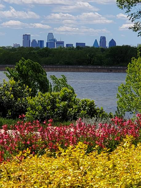 istock Dallas skyline across lake 1144349447