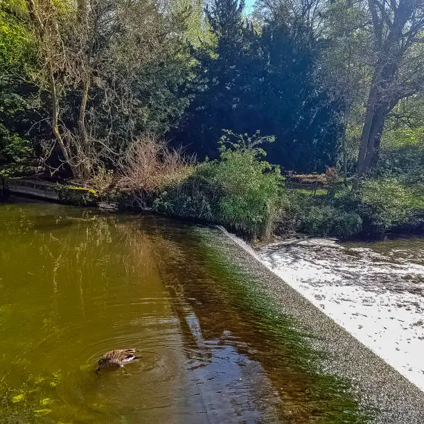 Photo of River Avon cascade in Warwick, Warwickshire, United Kingdom