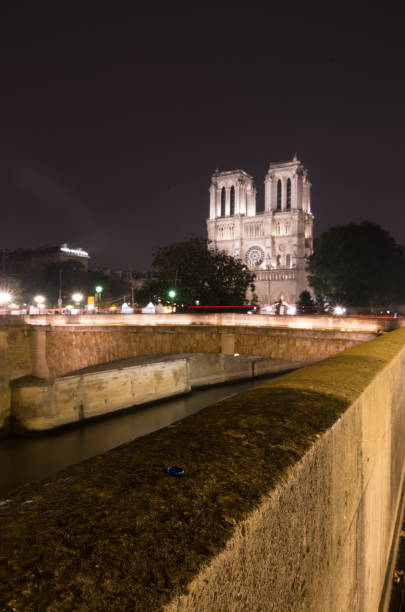 istock Notre Dame lit up at night 1144350323