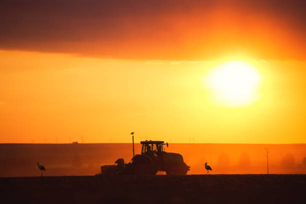 istock Farmer in tractor preparing farmland with seedbed for the next year 1144351145
