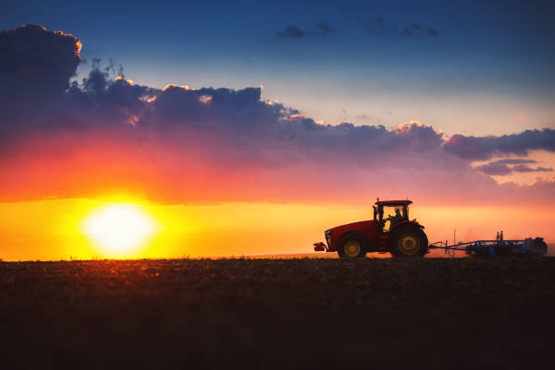 agricultor en el tractor preparando tierra con cultivador de semin - seedbed fotografías e imágenes de stock