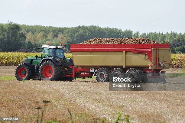 Photo libre de droit de Tracteur Avec Conteneur Conçue Avec Des Pommes De Terre Flandres Belgique banque d'images et plus d'images libres de droit de Pomme de terre