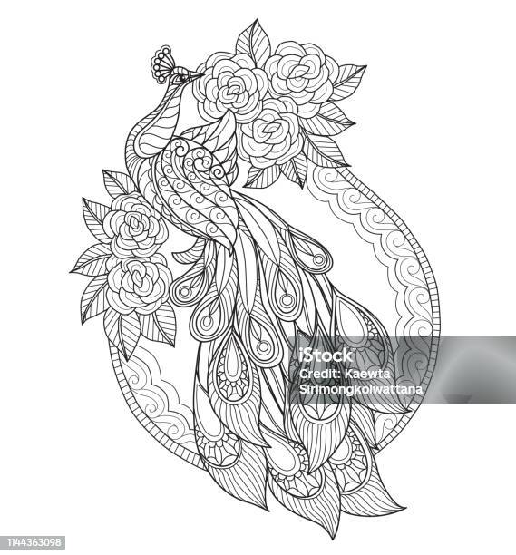 Hand Drawn Illustration Of Peacock In Line Style Stock Illustration - Download Image Now - Peacock, Line Art, Outline