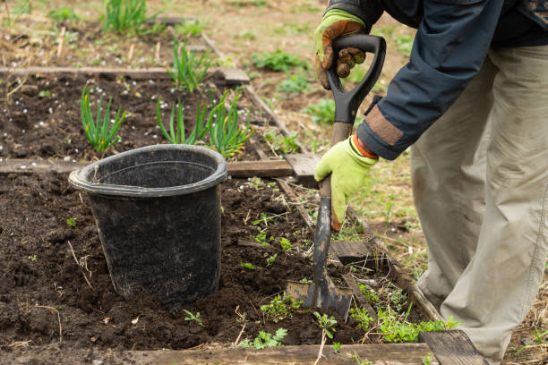 istock A man is digging a shovel soil in the garden 1144363320