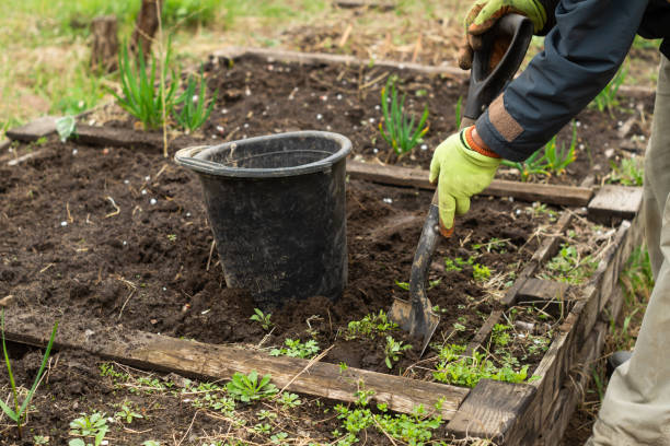 istock A man is digging a shovel soil in the garden 1144363322