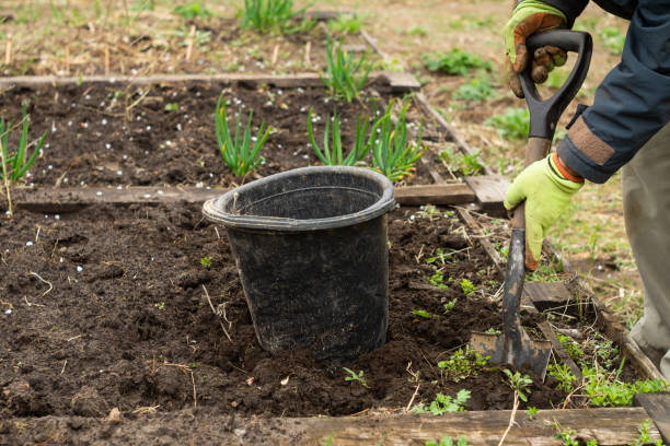 istock A man is digging a shovel soil in the garden 1144363877