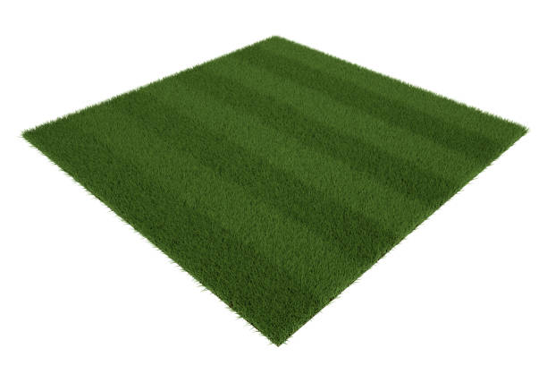 istock Square of Green Grass Field on White Background. 3D illustration 1144368210