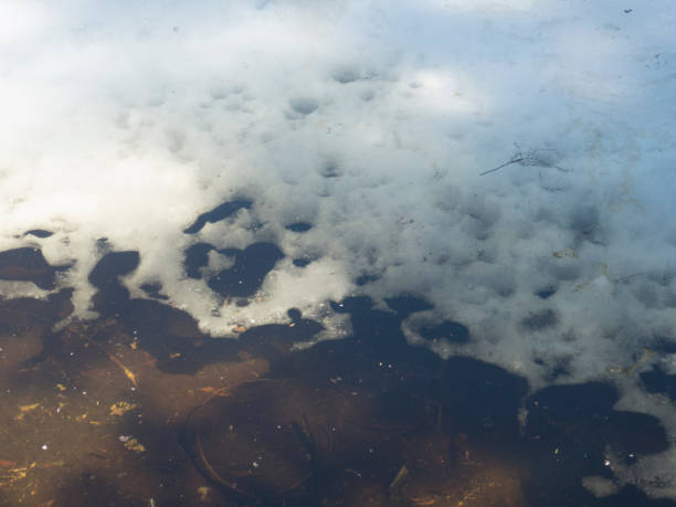 istock Lake ice cover spring melt 1144370112
