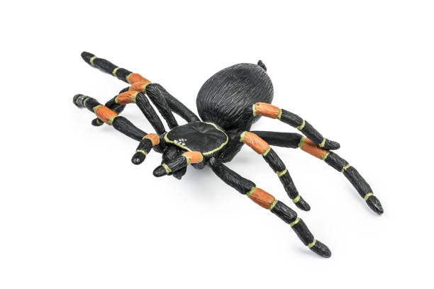 istock halloween, decoration and scary concept 1144370291