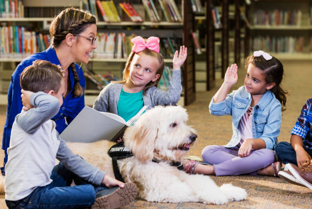 読書補助犬を持つ図書館の子供 - four animals ストックフォトと画像