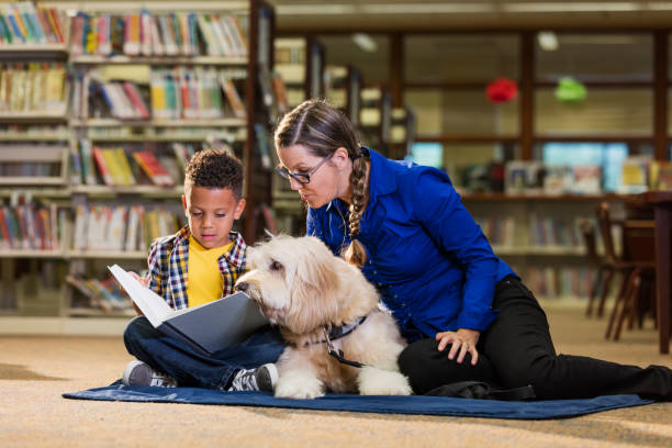 istock Mixed race boy reading in library with therapy dog 1144372557